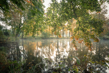 jesień nad stawem, jesienne liście © Piotr Szpakowski