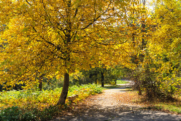 Landscape of South Park in city of Sofia, Bulgaria