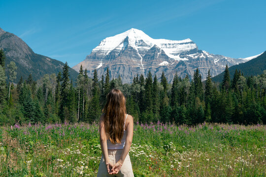 Person admiring the snow-capped mountain in a wildflower meadow.