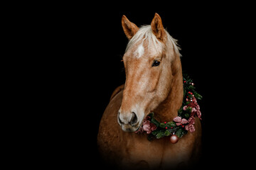 Palomino Kinsky horse wearing Christmas wreath and Santa hat with red horns against black background