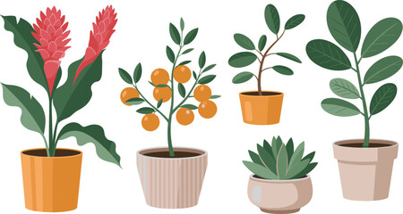 Potted plant illustration, flowering and fruit plants, indoor greenery clipart, botanical decor design, cartoon foliage art, succulent and leaf mix