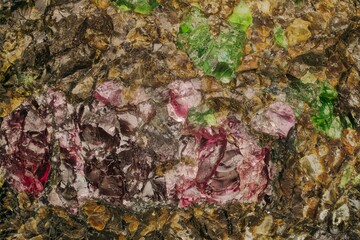 Macro pyrope and olivine from Mir Pipe, Western Yakutia — crystals of cubic and monoclinic systems. Key minerals in diamond-bearing kimberlites. Detailed 4x macro shot