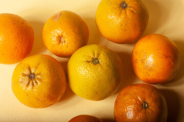oranges on a yellow background