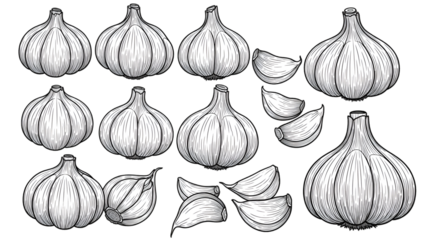 Black and White Garlic Illustration with Cloves