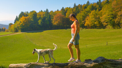Fototapeta premium Young woman and her dog carefully walk along a large wooden log lying on a sunny green meadow. Playful outdoor activities with furry pets in the embrace of rolling hills and colorful autumn forest.