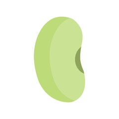 Bean Illustration