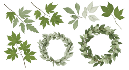 Green Leafy Wreaths and Branches on Black Background