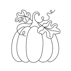 A beautiful pumpkin with leaves. Outline drawing.