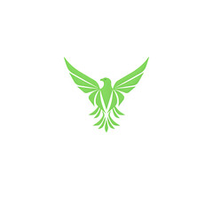 Eagle Coloring Book Vector Art, Icons, and Graphics