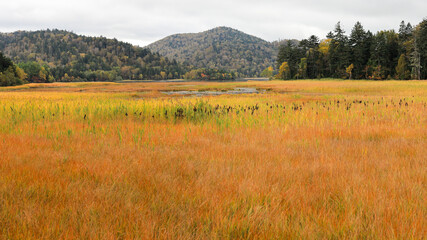 秋の尾瀬、草モミジの紅葉に包まれた尾瀬ヶ原と尾瀬沼トレッキング、群馬県,日本