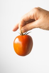 A hand is holding a tomato