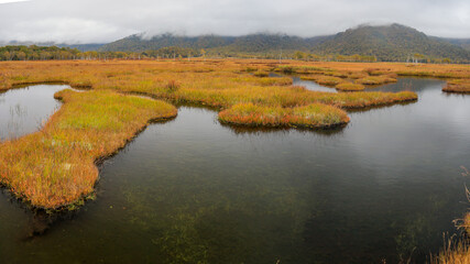 秋の尾瀬、草モミジの紅葉に包まれた尾瀬ヶ原と尾瀬沼トレッキング、群馬県,日本
