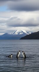 Penguins in Antarctic Waters - A Serene Landscape.
