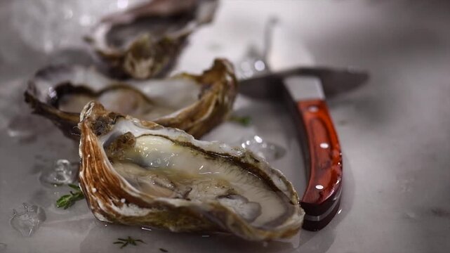 Oysters on ice with knife, close up, open french oysters. Healthy sea food. French Oyster dinner in restaurant. Gourmet food, delicatessen. Grey background. Slow motion 