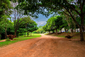 View of Botanical Garden in Goiania, Brazil