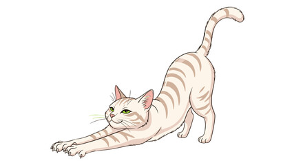 Cute Cream Tabby Cat Stretching Relaxed Peaceful Animal Isolated on Transparent Background