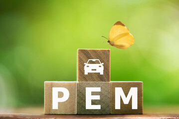 PEM texts on timbers and icons on natural background. Polymer Electrolyte Membrane in Fuel Cell Technology.