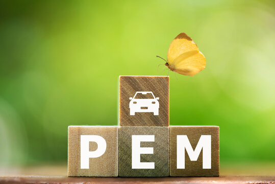 PEM texts on timbers and icons on natural background. Polymer Electrolyte Membrane in Fuel Cell Technology.