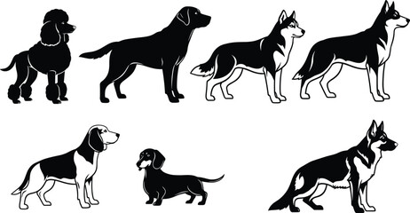 Black and white dog breed silhouette collection, elegant pet vector illustration set, domestic animal design for logo, icon, and decoration use