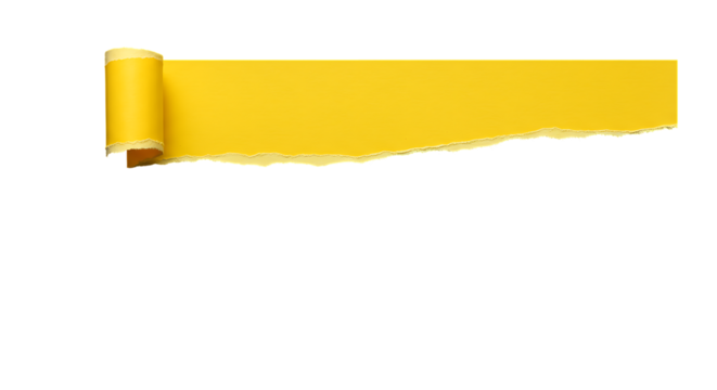 Revealing yellow torn paper with a rolled edge on a transparant background