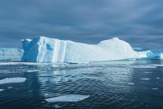 Aerial flight in glacier canyon frozen ocean bay in Antarctica. Winter landscape wild nature. Glacier giant ice wall towering above rocky ocean coast. Polar environment. Travel beautiful South Pole