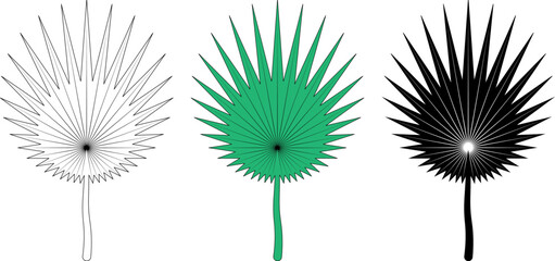 fan palm leaf icon set