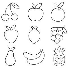 Simple fruit doodle collection line illustration