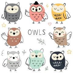 Colorful cute owls illustration for kids