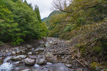 濁河川 2025年10月中旬撮影( 飛騨小坂)