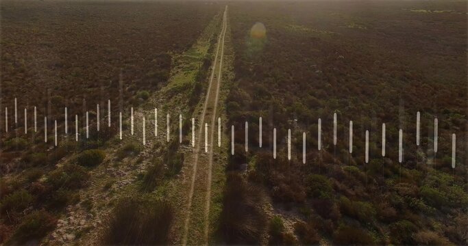 Fototapeta Cutting dirt track leading to horizon over scrubland with shrubs and grasses, lens flare overlay