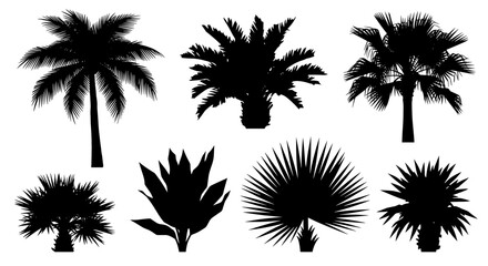 Create a tropical paradise with these dynamic palm tree silhouettes perfect for eye-catching designs that evoke vacation vibes and modern aesthetics