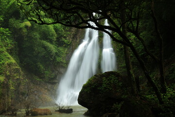 Tam Nang Waterfall is another beautiful waterfall of Phang Nga Province with clear water, lots of fish, shady and surrounded by beautiful nature. 
Sri Phang Nga National Park, THAILAND