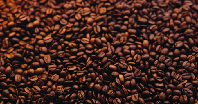 Coffee beans, process and roast with closeup for production, texture and flavor with manufacturing at plant. Grain, organic caffeine and supply chain for hospitality industry, catering and aroma