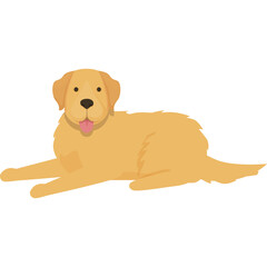 Golden Retriever Dog Lying Down with Tongue Out and Happy Expression on Transparent Background