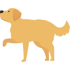 Golden Retriever Dog Standing On A Transparent Background With One Paw Raised