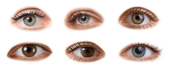 Set of many different human eyes on white background