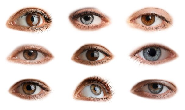 Set of many different human eyes on white background