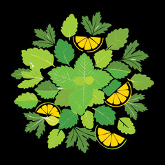 Fresh Mint Leaves and Lemon Slices Dark Background Illustration Cool Herbal Tea Beverage and Detox Drink Ingredient