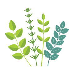 Two Toned Green Herb Leaves Bundle Illustration Contemporary Minimalist Vector Art for Botanical and Health Projects