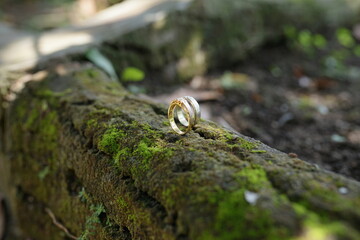 A close-up, shallow depth of field shot of two elegant wedding rings resting on a moss-covered surface