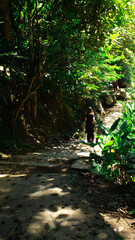 take a walk in the beautiful forest