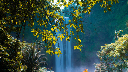 waterfall with aesthetic views in nature