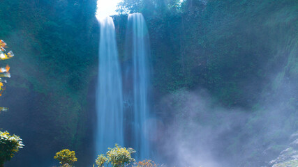 waterfall with aesthetic views in nature