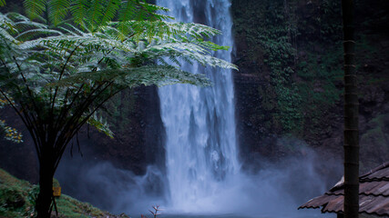 waterfall with aesthetic views in nature