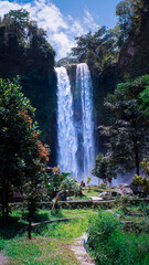 waterfall with aesthetic views in nature