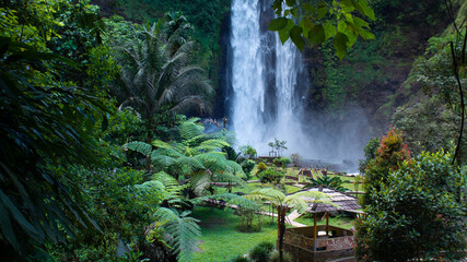 waterfall with aesthetic views in nature