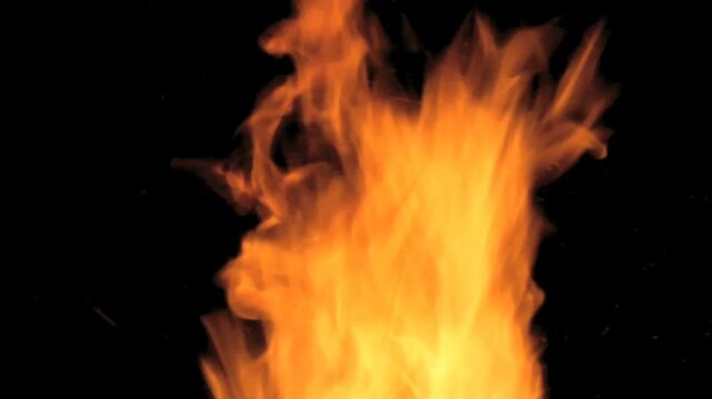 fire burning in the oven