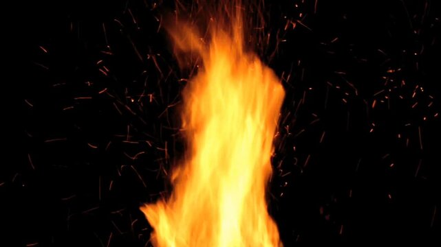 fire burning in the oven