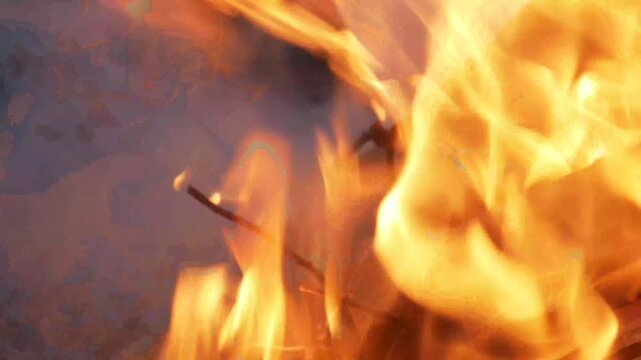 burning campfire in the woods