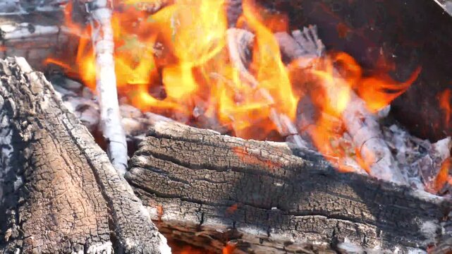 firewood in a fireplace. close-up